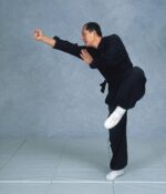 Shaolin Kung Fu Fundamental Training - Image 3
