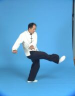 Shaolin Kung Fu Fundamental Training - Image 5