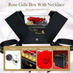 Preserved Real Rose-Eternal Flowers Rose Mothers Day for Mom Women Her Wife Girlfriend on Birthday Valentines with I Love You Necklace 100 Languages Romantic Gift - Image 3