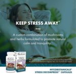 Host Defense MycoBotanicals Stress Decompress* Capsules - Mushroom Supplement with Lemon Balm & Ashwagandha Root - with Reishi, Lion's Man & Skullcap - 60 Capsules (30 Servings) - Image 6