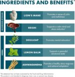 Host Defense MycoBotanicals Stress Decompress* Capsules - Mushroom Supplement with Lemon Balm & Ashwagandha Root - with Reishi, Lion's Man & Skullcap - 60 Capsules (30 Servings) - Image 7