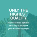 Host Defense MycoBotanicals Stress Decompress* Capsules - Mushroom Supplement with Lemon Balm & Ashwagandha Root - with Reishi, Lion's Man & Skullcap - 60 Capsules (30 Servings) - Image 9