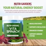 Vita Spinach Powder -Red Spinach Extract Nitric Oxide Booster -Supports Blood Pressure & Flow, Energy, Endurance, Pre Workout Performance Boost -Natural Superfood Supplement (30 Servings) - Image 6