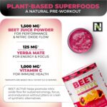Nutrology Beet Active, Natural Pre-Workout Powder, Supports Energy, Endurance & Nitric Oxide Flow with Beet Powder, Yerba Mate & Electrolytes, Vegan Pre Workout, Passion Fruit Flavor, 30 Servings - Image 6