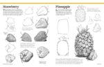 Big School of Drawing: Well-explained, practice-oriented drawing instruction for the beginning artist - Image 7