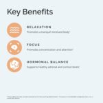 BRAINMD Dr Amen Everyday Stress Relief - 120 Capsules - Promotes Relaxation & Focus - Non-Drowsy - Gluten Free - 30 Servings - Image 5