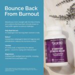 BRAINMD Dr Amen Everyday Stress Relief - 120 Capsules - Promotes Relaxation & Focus - Non-Drowsy - Gluten Free - 30 Servings - Image 6