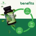 150mg Apigenin - Phenylethylamine - Mood Support Supplement - Promotes Euphoria, Focus, and Mental Clarity - Natural Stress Relief - Calm Support - Intimacy Enhancer - 30 Capsules - Image 5