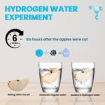 NuRich Echo NuRich Flask Hydrogen Water Bottle, 420ml Portable SPE/PEM Generator, 2200PPB in 3 Min, Rechargeable Hydrogen Ionizer for Home, Travel, Fitness - Gift for All Family Members - Image 6