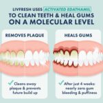 LIVFRESH Toothpaste Gel, Clinically Proven to Remove Plaque 250% Better, Improves Gum Health 190% Better, Prevents & Reduces Tartar, Freshens Breath, SLS Free Dental Gel, Wintergreen - Image 3