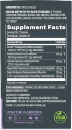 Ashwagandha, Rhodiola, Reishi & 5-HTP for Stress-Free Focus Active Focus & Balance Capsules Caffeine-Free Nootropic for Calm Energy & Mental Clarity, Mood & Immune Support 60 Vegan Capsules - Image 3