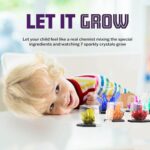 Dan&Darci Crystal Growing Kit for Kids - Science Experiments Gifts for Boys & Girls Ages 8-14 Year Old - Toys Teen Age Boy/Girl Arts & Crafts Kits - Cool Projects Ideas 8 9 10 11 12 Yr Olds - Image 6