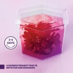 Dan&Darci Crystal Growing Kit for Kids - Science Experiments Gifts for Boys & Girls Ages 8-14 Year Old - Toys Teen Age Boy/Girl Arts & Crafts Kits - Cool Projects Ideas 8 9 10 11 12 Yr Olds - Image 7