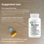 B2-400 Pure Riboflavin - Nervous System Health, Homocysteine Detox, Cardiovascular, Helps Boost Energy, Mental Clarity, Metabolism and Cell Function (120) - Image 4