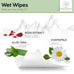 STAY FRESH (60 Flushable Wipes to-Go) - PH Balanced, Travel sized, Unscented with Aloe, Chamomile and Rose extract. - Image 3