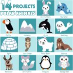 Sii Pikki Polar Animal Sewing Kit for Kids – DIY Felt Craft Set with 14 Cute Animals, Easy Learn Sew for Beginners – Educational Arts & Crafts, Gift Ideas for Boys and Girls Ages 6-9 - Image 5