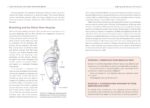 Yoga for Pelvic Floor and Postpartum Health: An Iyengar Yoga Approach to Pelvic Healing and Integrative Wellness through Anatomy and Practice - Image 4
