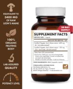 PURE ESSENCE LABS MyPure Lion's Mane 4X - Ultra Strength Brain Support Supplement with 6:1 Hot Water Extract & 10:1 Extract for Cognitive Health, Focus, Memory & Mental Clarity, 30 Capsules - Image 3