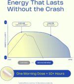 LevelUp Biohack Mind - Nootropic Brain Supplement for Men & Women | Balanced Energy, Focus, Mood & Stress Optimization with Ashwagandha, Lion's Mane, Alpha GPC, Ginseng and More - 60 Count - Image 4