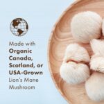 PURE ESSENCE LABS MyPure Lion's Mane 8X - Max Strength Brain Support with 100% Fruiting Body Organic Lion's Mane for Ultimate Cognitive Performance, Focus, and Mental Clarity, 60 Capsules - Image 4