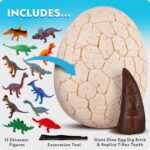 NATIONAL GEOGRAPHIC Jumbo Dinosaur Egg Dig Kit - Dig Out 12 Dino Figures & Replica T. Rex Tooth from Giant 6" Egg, Dino Egg, Jumbo Egg, Dinosaur Egg Toys, Educational Science Kits - Image 6