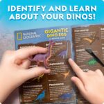 NATIONAL GEOGRAPHIC Jumbo Dinosaur Egg Dig Kit - Dig Out 12 Dino Figures & Replica T. Rex Tooth from Giant 6" Egg, Dino Egg, Jumbo Egg, Dinosaur Egg Toys, Educational Science Kits - Image 7