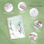 PLANBERRY Weekly Planner – Undated Life Organizer & Budget Planner – Time Management, Goal Setting, To-Do List, Work-Life Balance & Habit Tracker – 6.1″ x 8.1″ (Natural Green) - Image 3
