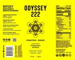 Odyssey Elixir - Odyssey 222 - Sparkling Energy Drink - 222 mg of Caffeine - Lion's Mane & Cordyceps - Energy & Focus - Endurance & Stamina - Nootropic - Pre Workout - Pineapple Mango - Image 3
