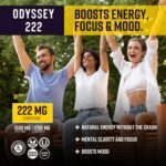 Odyssey Elixir - Odyssey 222 - Sparkling Energy Drink - 222 mg of Caffeine - Lion's Mane & Cordyceps - Energy & Focus - Endurance & Stamina - Nootropic - Pre Workout - Pineapple Mango - Image 6