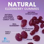 Elderberry Gummies with Vitamin C, D3 and Zinc - Immune Support Gummy for Kids & Adults, Black Elderberry Extract Gummy Immune Health Support Supplement, Black Elder Berry Vitamin - 120 Gummies - Image 8