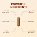 CHOQ Action 2.0 Energy & Circulation Support - Rhodiola Rosea, Beetroot & B12 Supplement - Nitric Oxide Booster for Men & Women - Focus & Recovery - 90 Capsules - Image 3