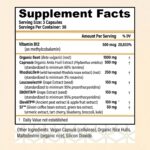 CHOQ Action 2.0 Energy & Circulation Support - Rhodiola Rosea, Beetroot & B12 Supplement - Nitric Oxide Booster for Men & Women - Focus & Recovery - 90 Capsules - Image 4