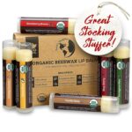 Earth's Daughter USDA Organic Lip Balm 6-Pack Stocking Stuffers - Fruit Flavors, Beeswax, Coconut Oil, Vitamin E - Best Lip Repair Chapstick for Dry Cracked Lips - Moisturizing Lip Care - Image 2