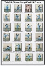 JPOSTHCZ Tai Chi 24 Forms Poster Traditional Chinese Martial Canvas Wall Art Aesthetic Decorative Painting Living Room Gym Or Meditation Studiostyle 16x24inch(40x60cm) - Image 2