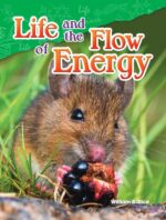 Life and the Flow of Energy - Image 2