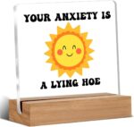 Mental Health Inspirational Gift for Friends, Coworkers - 'Your Anxiety is a Lying' Acrylic Sign, Funny Office Desk Decor, 4 x 4 Inches - Image 2