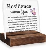 Resilience Within Acrylic Sign with Wooden Stand, New Start Gifts for Women Boss Leader Manager Advisor Mentor Colleague, Mental Health Inspirational Quotes for Family Friend BFF - Image 2
