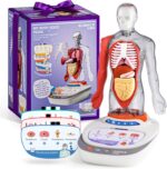 Science Can Human Body Model for Kids, Interactive Human Anatomy Talking Model - 11 Inch Realistic Anatomical Assembly Kit, 15PCS Removable Parts & Guide, Educational STEM Toys Gifts for Kids Aged 6+ - Image 2
