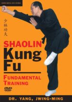 Shaolin Kung Fu Fundamental Training - Image 2