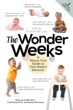 The Wonder Weeks: A Stress-Free Guide to Your Baby's Behavior - Image 2