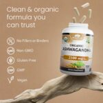 NaturaLife Labs Organic Ashwagandha 2100 mg per Serving – Root Powder & Extract – 100 Capsules – Vegan, Non-GMO, Gluten-Free - Image 7