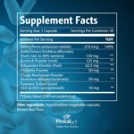 Pineal XT Gold - Pineal Gland Supplement - Third Eye Awakening - Focus and Memory Supplement for Brain - 7 Powerful Ingredients Decalcify, Detox, and Activate Your Pineal Gland, 3 Pack - Image 3