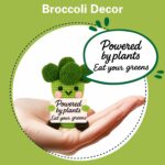 Vegan Gifts for Women Men, Fitness & Workout Motivation, Handmade Broccoli Decor, Healthy Lifestyle Presents for Vegetarians, 'Powered by Plants' Quote Sign - Image 3