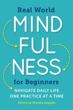 Real World Mindfulness for Beginners: Navigate Daily Life One Practice at a Time - Image 2