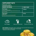 Softgels with Black Seed Oil 6000mg – Organic Oregano Oil Capsules for Immune & Digestive Support – Non-GMO, Gluten-Free Softgels – Natural Herbal Wellness Supplement Pack of 2 - Image 3