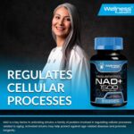 WELLNESS LABSRX Liposomal NAD Supplement, 1500mg - USA Made, NAD Resveratrol Supplement for Women and Men, NAD+ Support Cellular Health, Energy & Anti Aging - 90 Count - Image 7